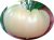 Tomatoes White Giant
