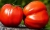 Tomatoes Big Mao