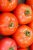 Tomatoes Yurand