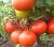 Tomatoes Mars