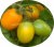 Tomatoes Stesha