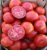 Tomatoes Perun