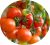 Tomatoes Anastasia F1
