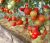 Tomatoes Yevpatoriya F1