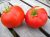 Tomatoes Moskvich