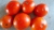 Tomatoes Khachmaz