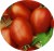 Tomatoes Baskakov