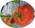 Tomatoes Cartouche F1