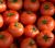Tomatoes Antalya F1
