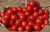 Tomatoes Solerosso F1