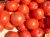 Tomatoes Red Sun F1