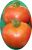Tomatoes Early Dubinin