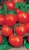 Tomatoes Martha F1