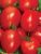 Tomatoes Plateks F1