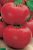 Tomatoes Pink Unicum F1