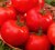 Tomatoes Fuensanta F1
