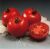 Tomatoes Crystal F1