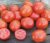 Tomatoes HS 12 F1