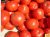 Tomatoes Perseus