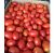 Tomatoes Rio Fuego