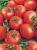 Tomatoes Cinderella F1