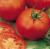 Tomatoes Dawn F1
