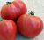 Tomatoes Abakan