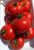 Tomatoes Valdai F1