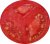Tomatoes Vera