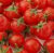 Tomatoes Cherry Red
