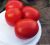 Tomatoes Littau F1
