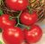 Tomatoes Esmeralda F1