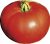 Tomatoes Helena Nova