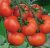 Tomatoes Lola F1