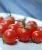 Tomatoes Santiago