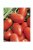 Tomatoes Semko-101 F1