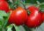 Tomatoes Flagship F1
