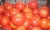 Tomatoes Gift of the Trans-Volga