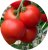 Tomatoes Kamchatka F1