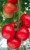 Tomatoes Alhambra F1