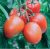 Tomatoes Kineshma F1