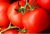 Tomatoes Zinaida F1