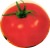 Tomatoes Lenore F1