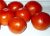 Tomatoes Skiff F1
