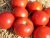 Tomatoes Goldmar F1