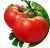 Tomatoes Frant F1