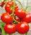 Tomatoes Relight F1