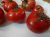 Tomatoes Dubrava