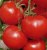 Tomatoes Izobilnyi F1