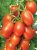 Tomatoes Maryushka